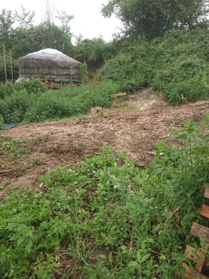 Yourte Rustique En Permaculture Creysse  Luaran gambar